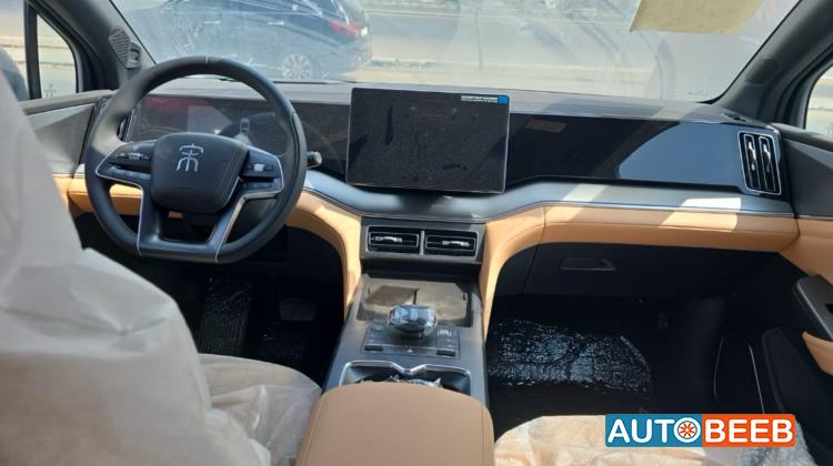 بي واي دي سونج ل 2025