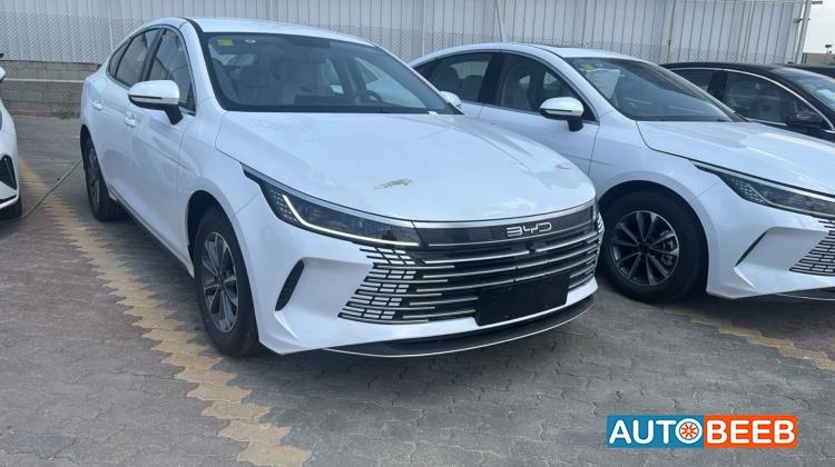 BYD Destroyer 05 2025