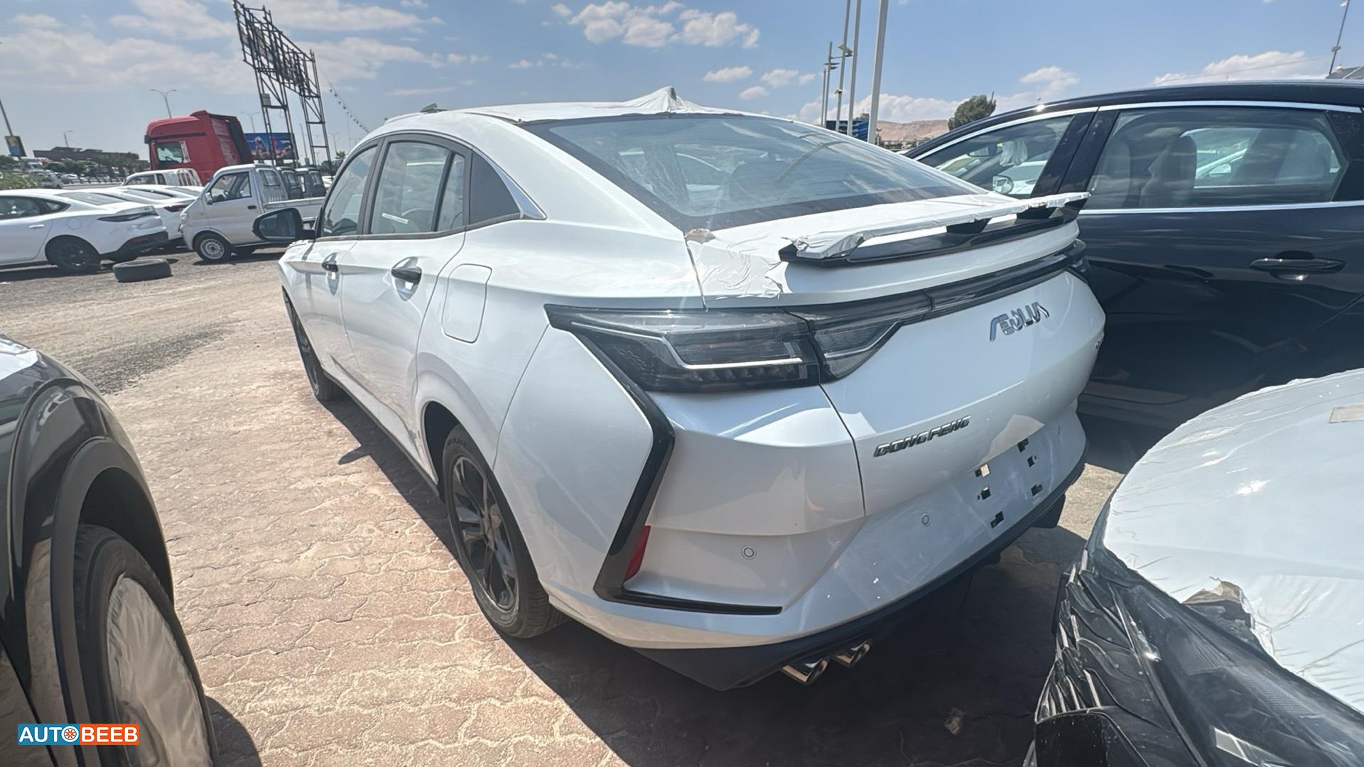 دونج فينج  2026
