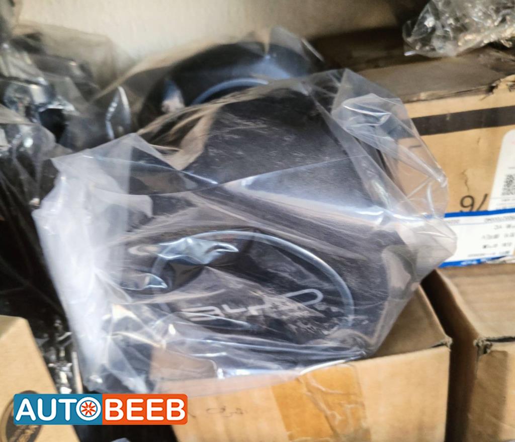 Cabin  Steering Wheel BYD Seagull