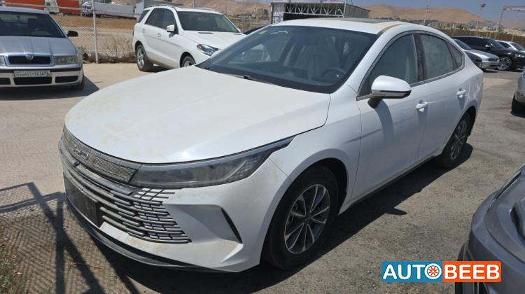 BYD Destroyer 05 2025