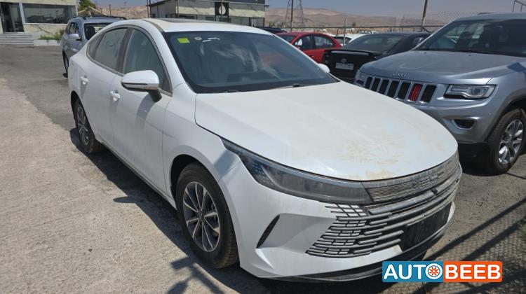 BYD Destroyer 05 2025