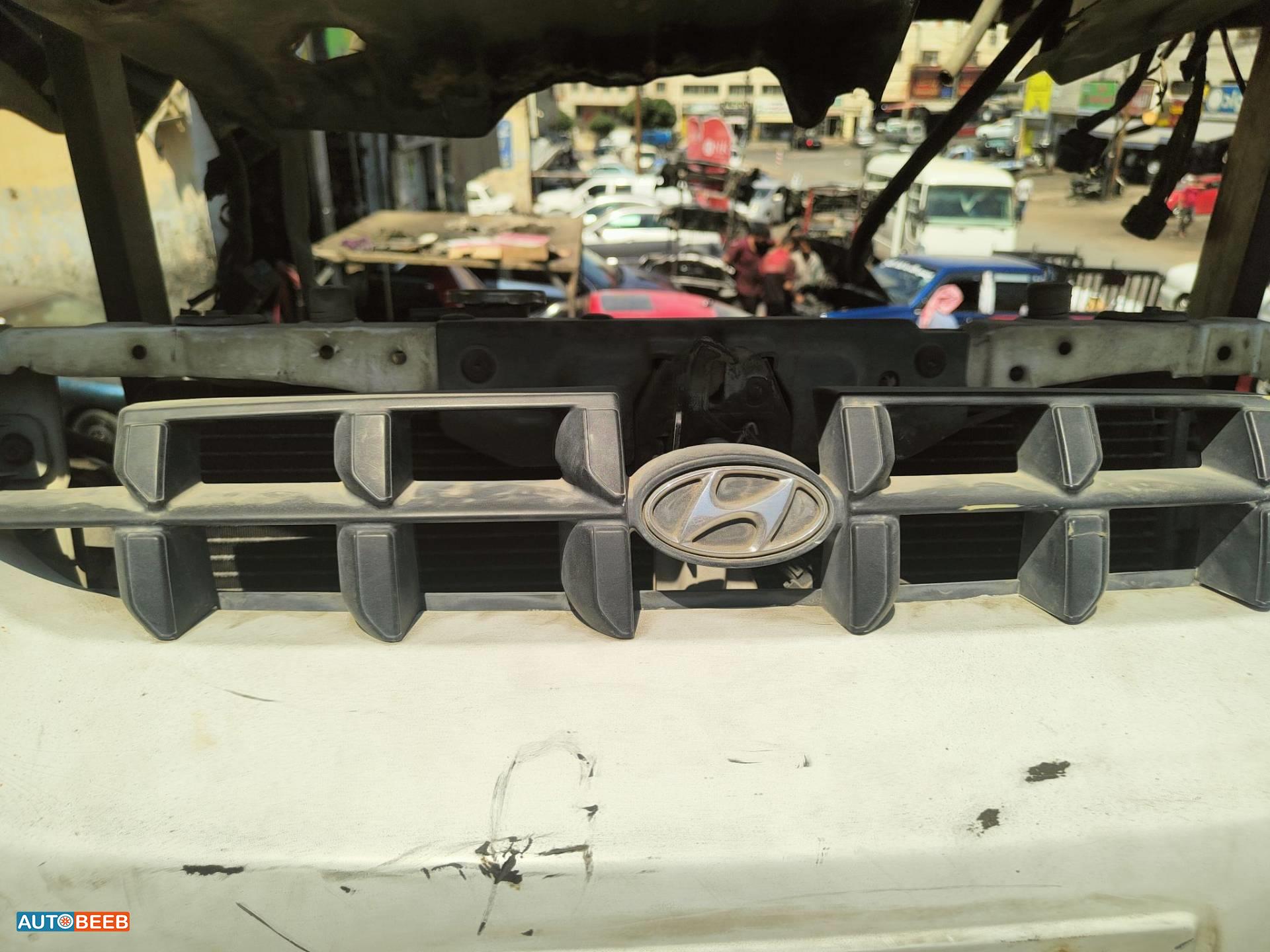 Body  Grilles Hyundai Verna