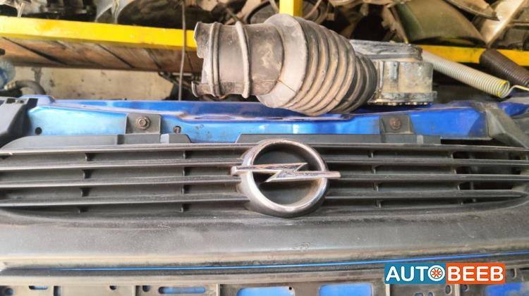 Body  Grilles Opel Corsa