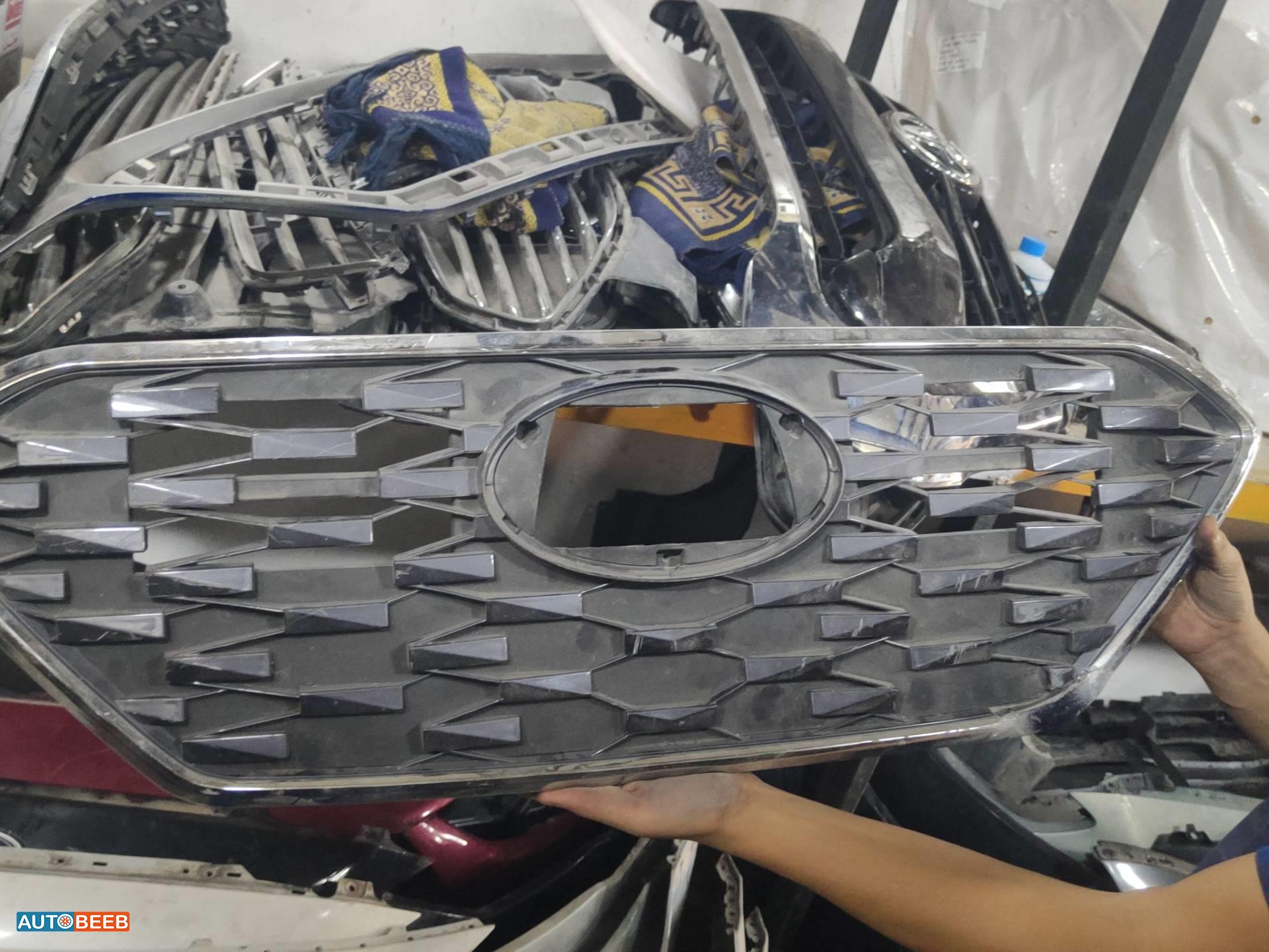 Body  Grilles Hyundai Ioniq