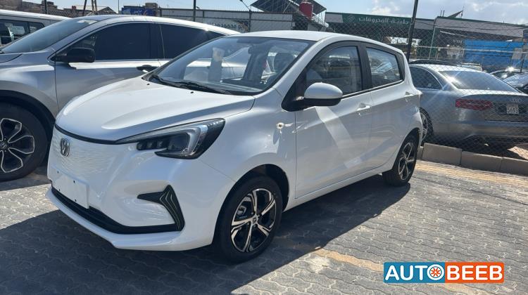 CHANGAN E-Star 2024