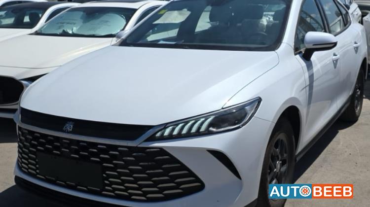 BYD Qin 2025
