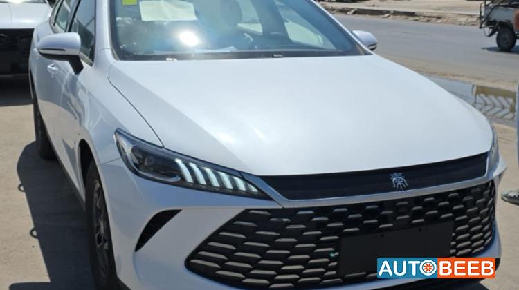 BYD Qin 2025