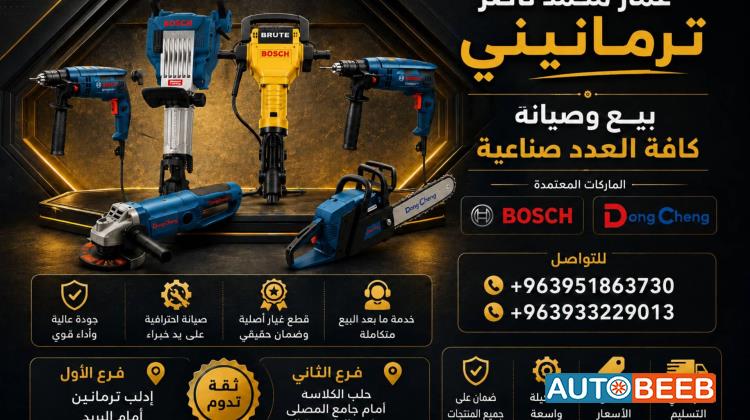 Rammer Bosch 2000