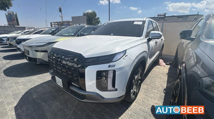 Hyundai Palisade 2024
