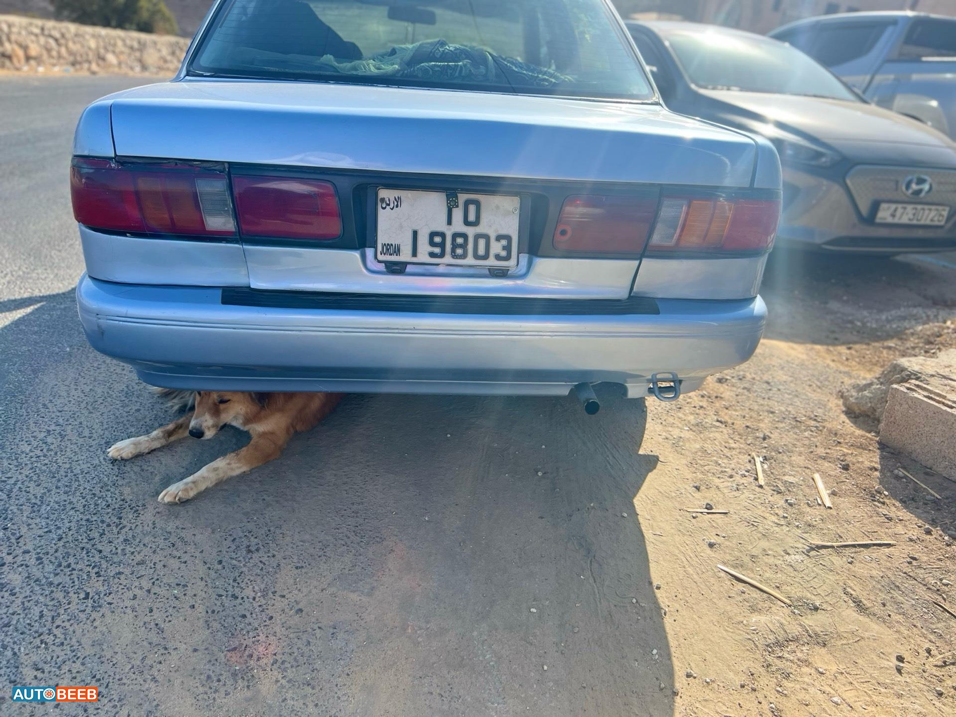 نيسان صني 1992