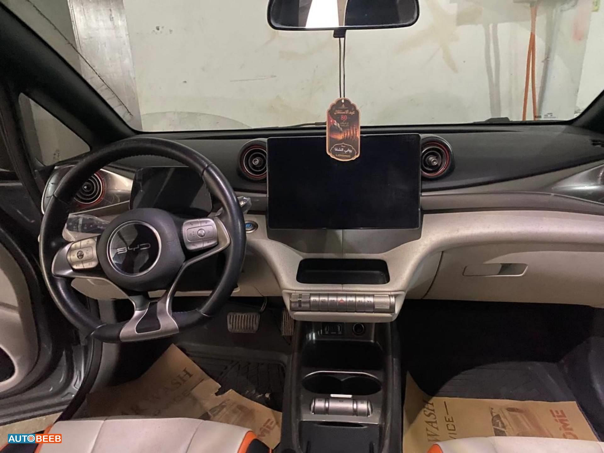 BYD Dolphin 2023