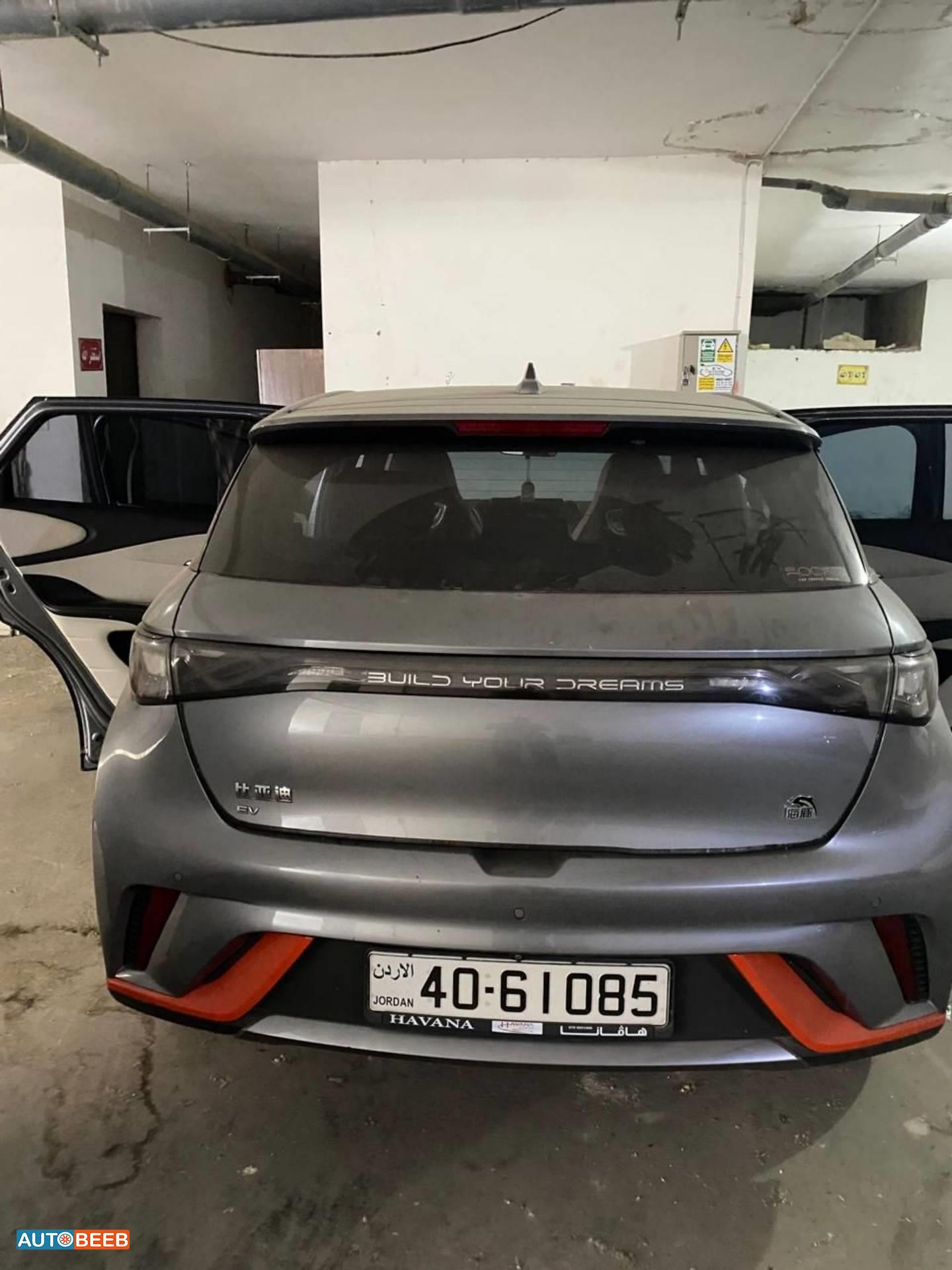 BYD Dolphin 2023