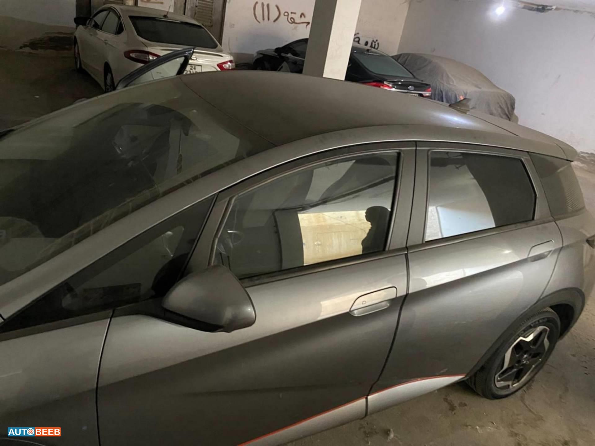 BYD Dolphin 2023