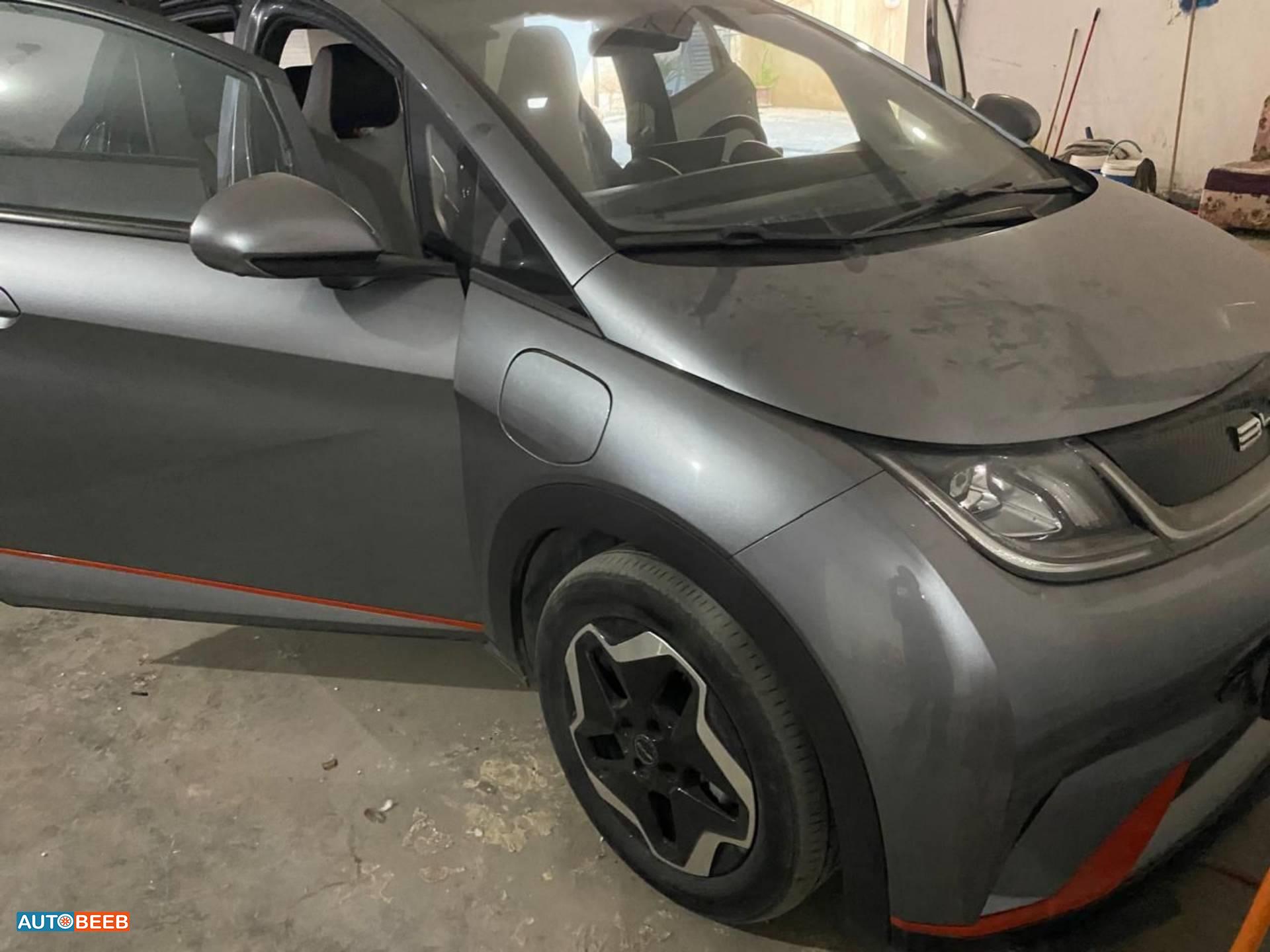 BYD Dolphin 2023