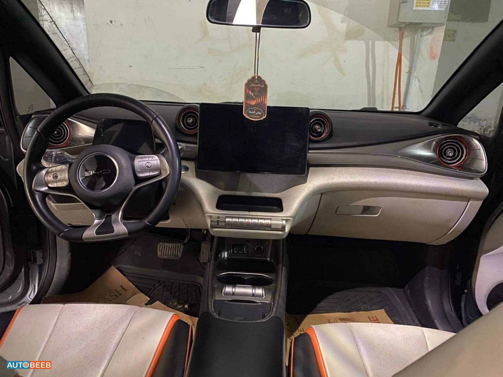 BYD Dolphin 2023