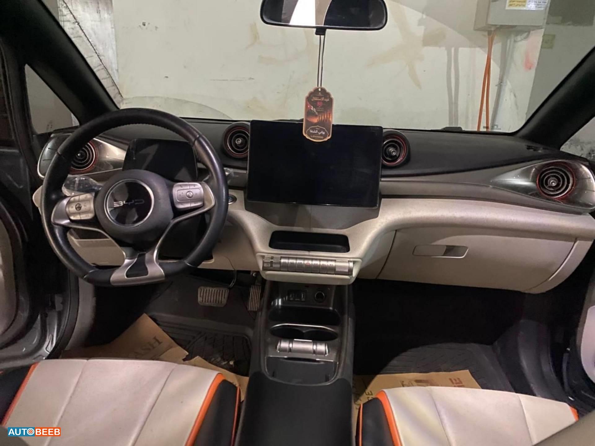 BYD Dolphin 2023