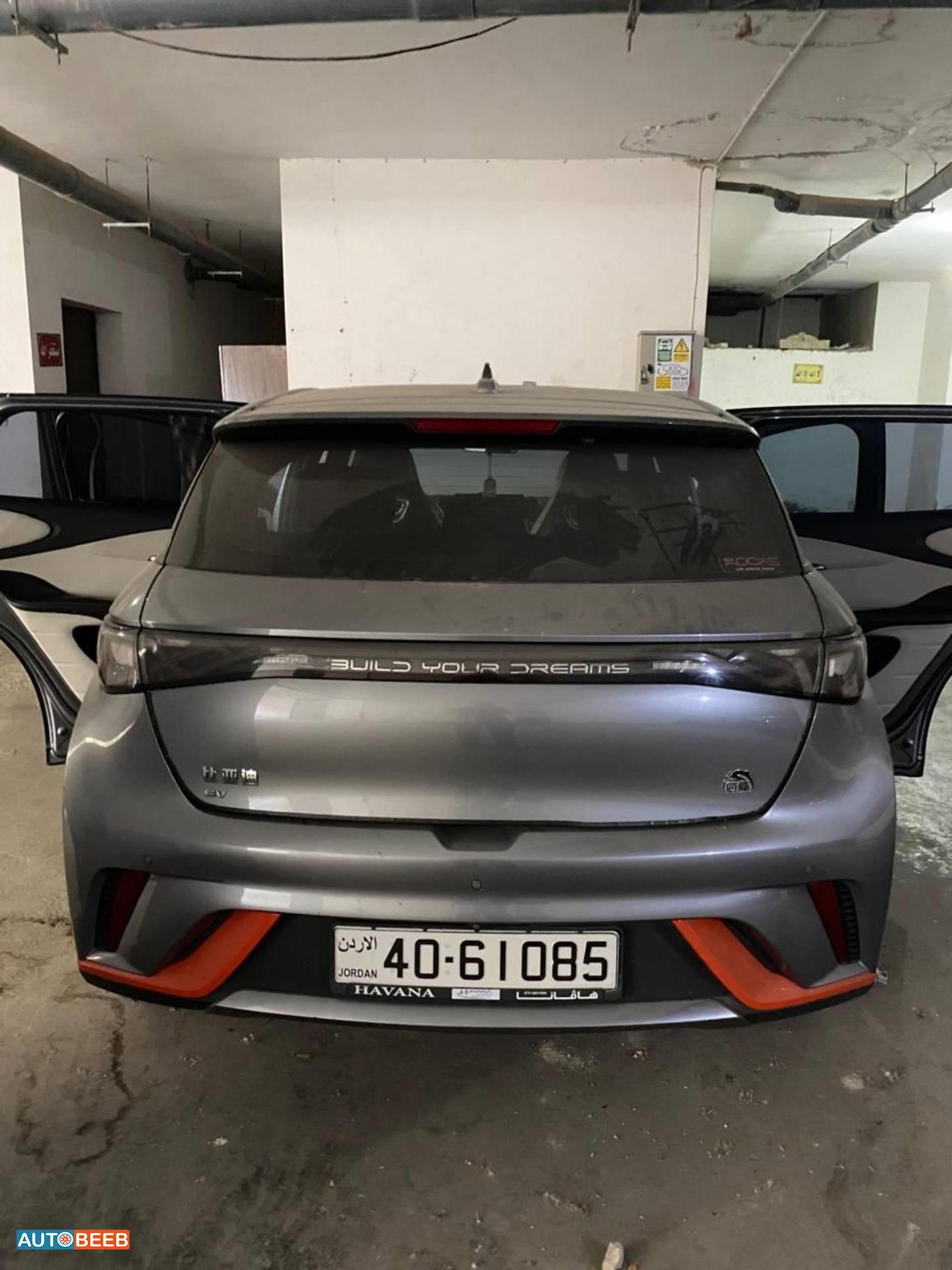 BYD Dolphin 2023