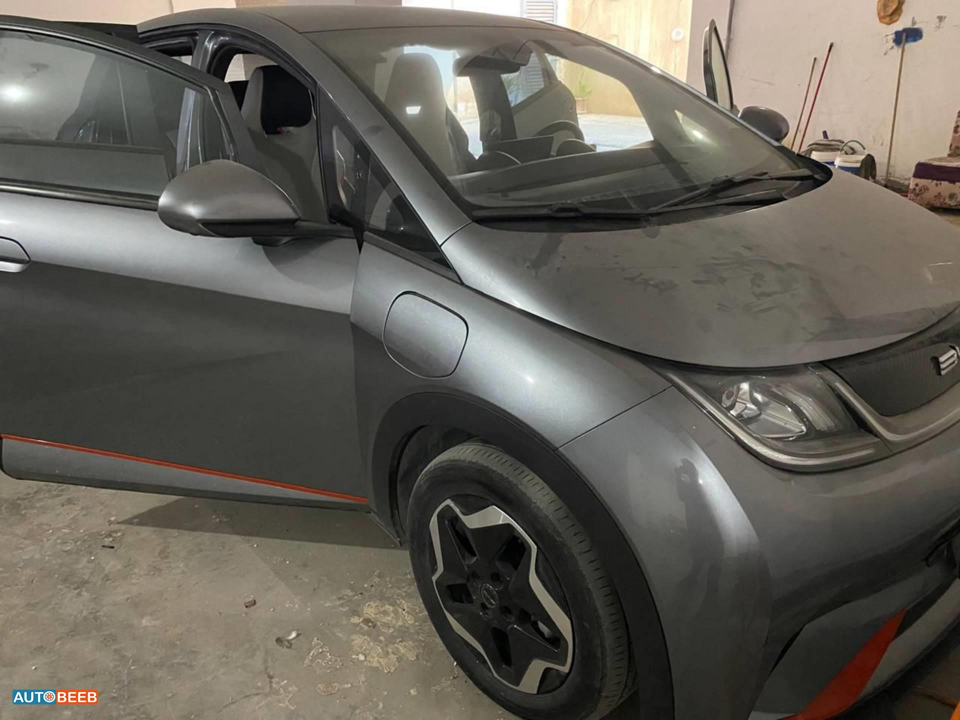 BYD Dolphin 2023