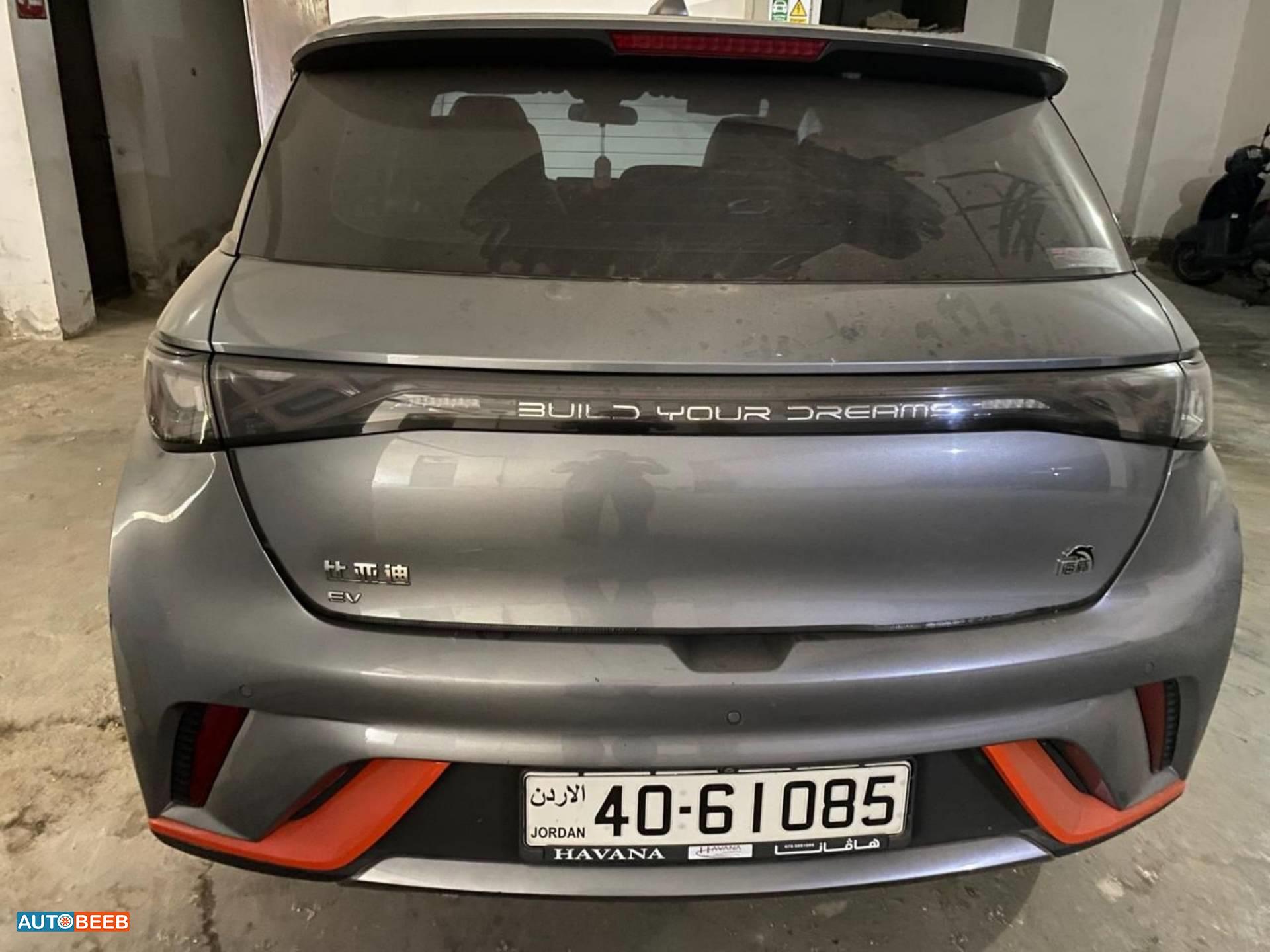 BYD Dolphin 2023