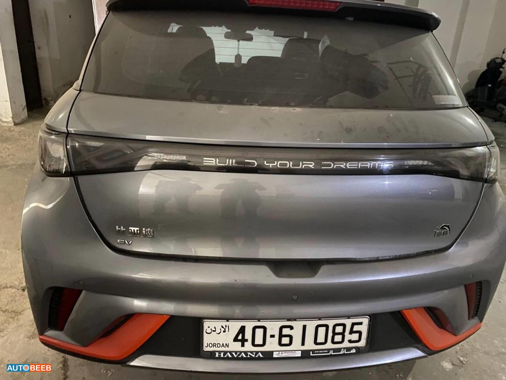 BYD Dolphin 2023