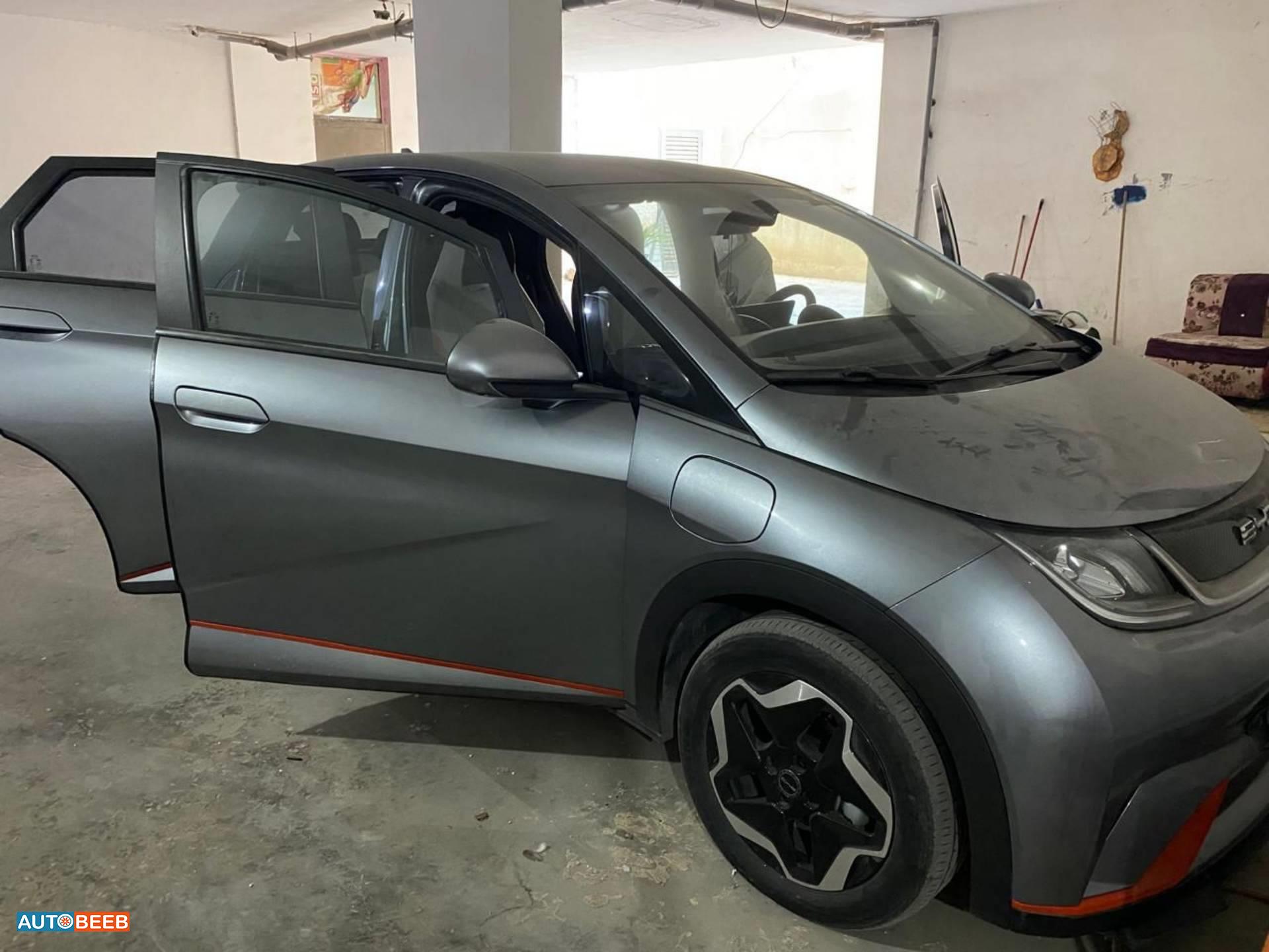 BYD Dolphin 2023