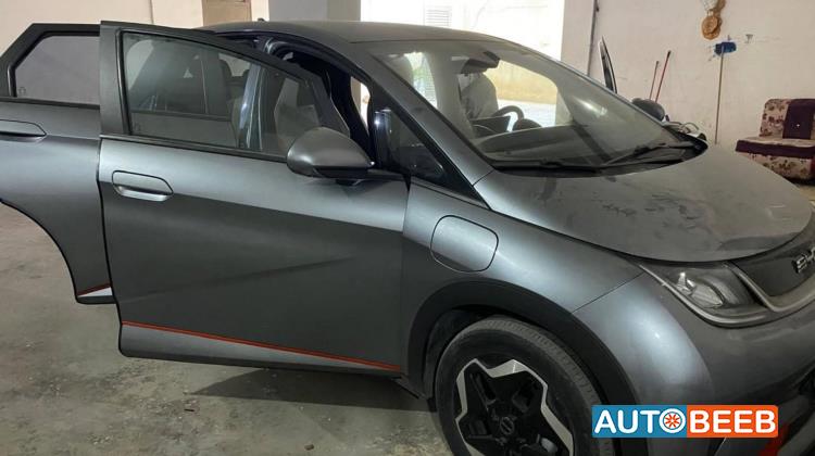 BYD Dolphin 2023