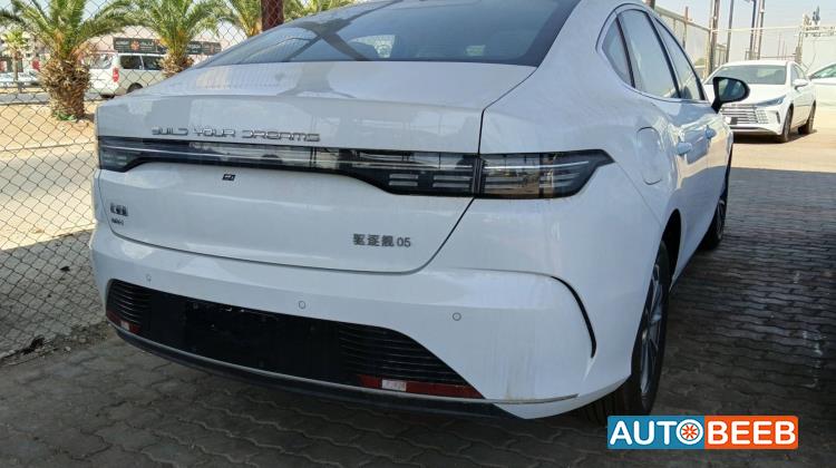 BYD Destroyer 05 2025