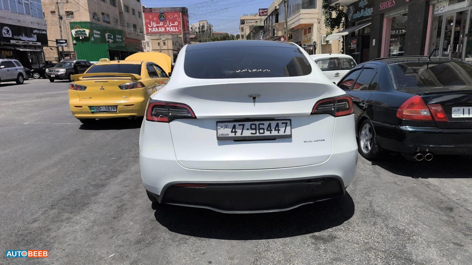 تيسلا Y 2020