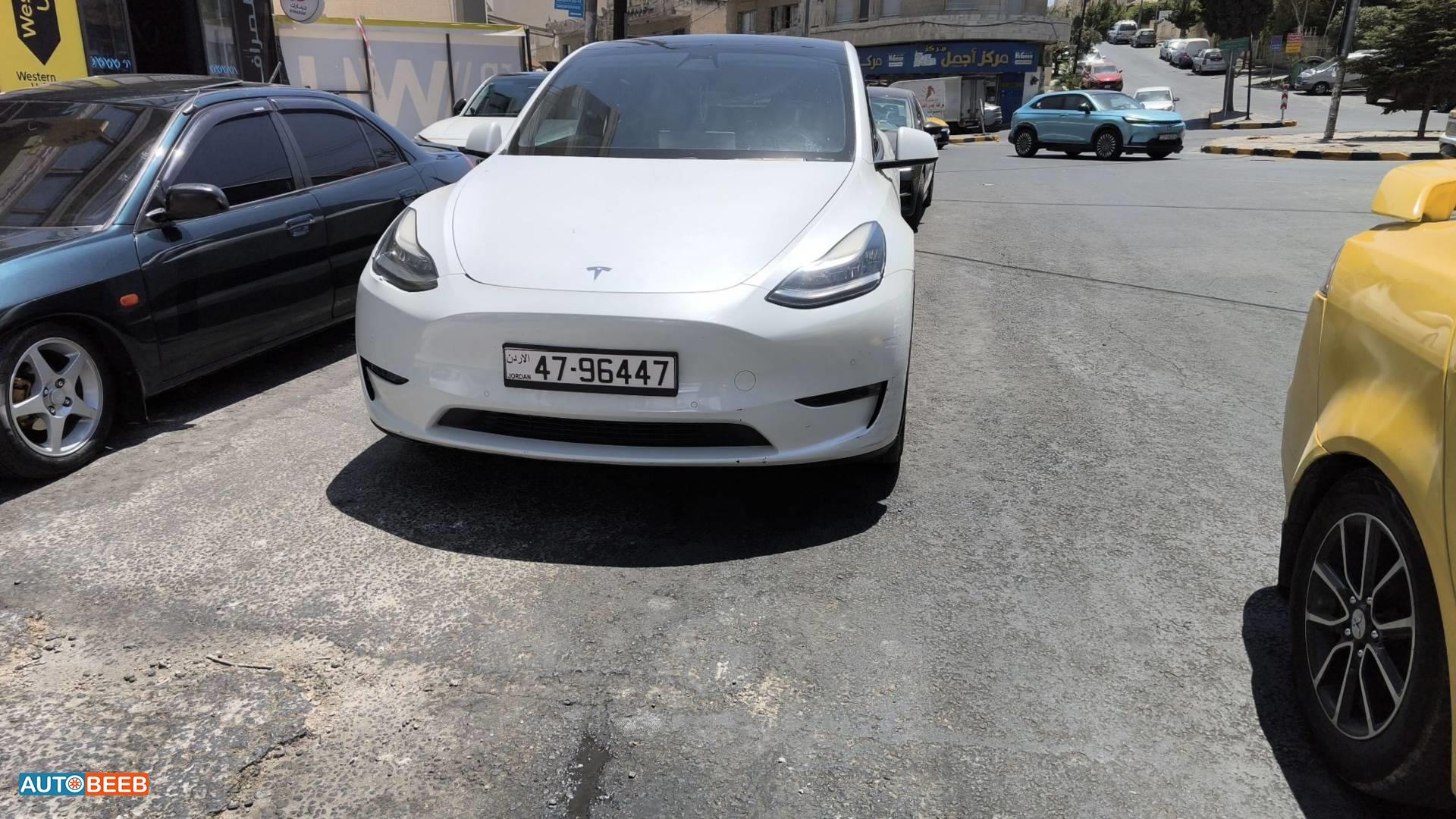 تيسلا Y 2020