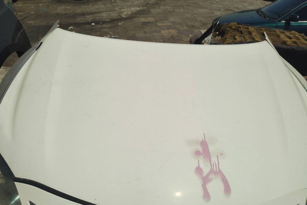 Body  Hood Toyota Camry