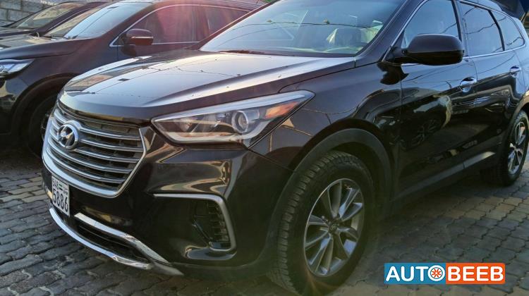 Hyundai  2017