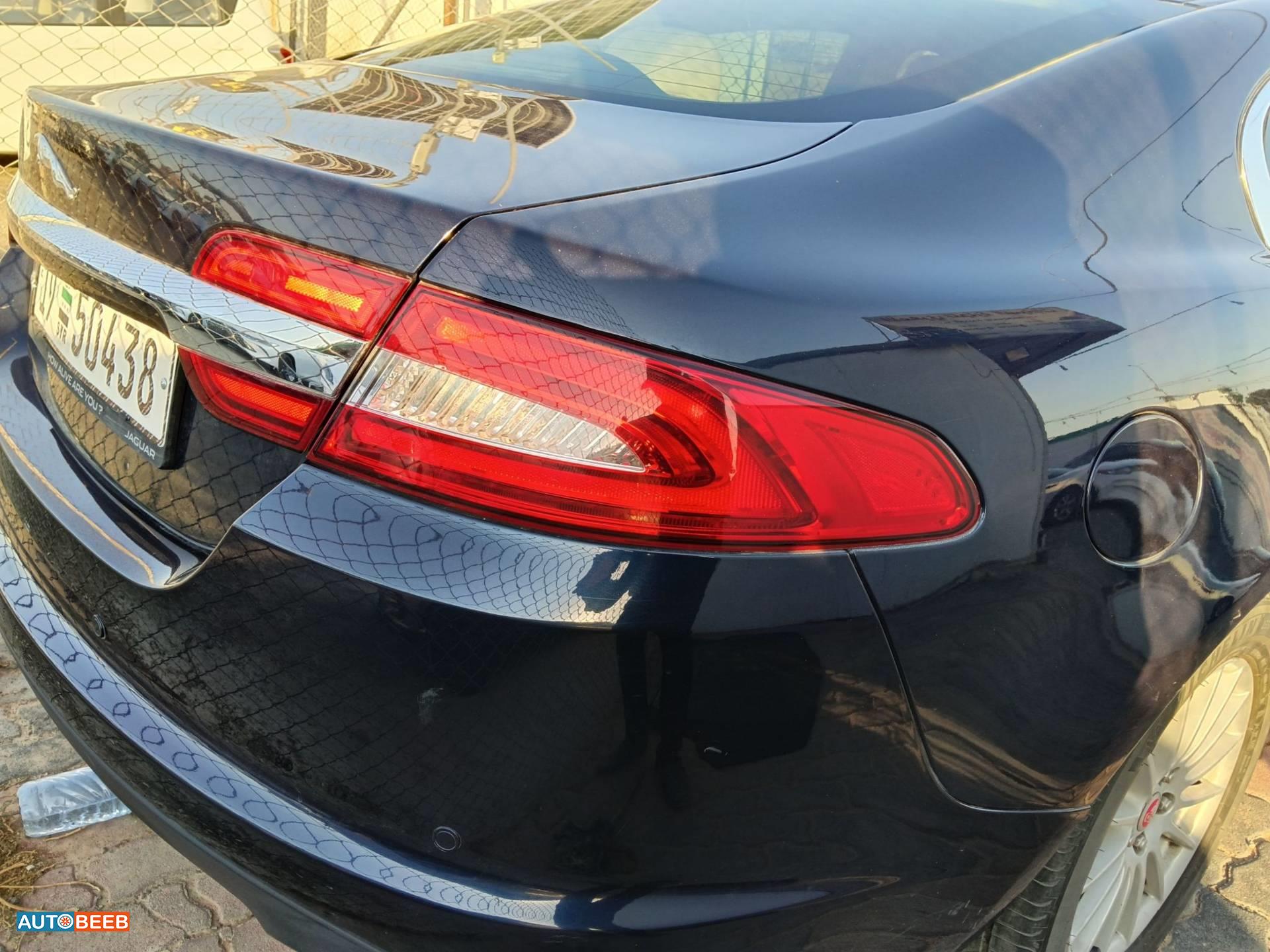 Jaguar  2013