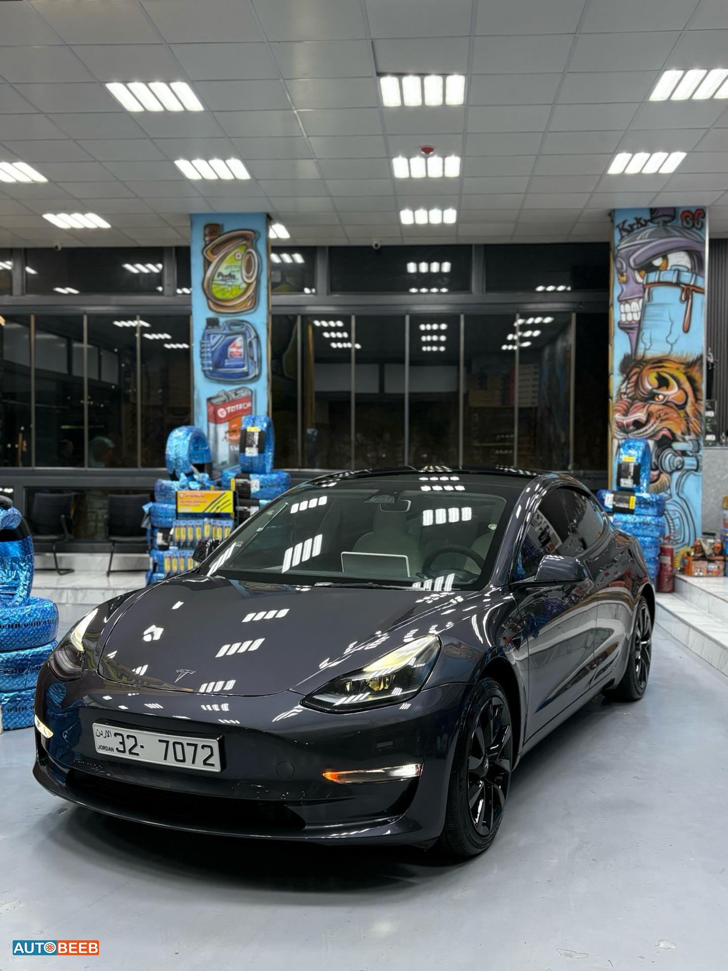 Tesla 3 2023