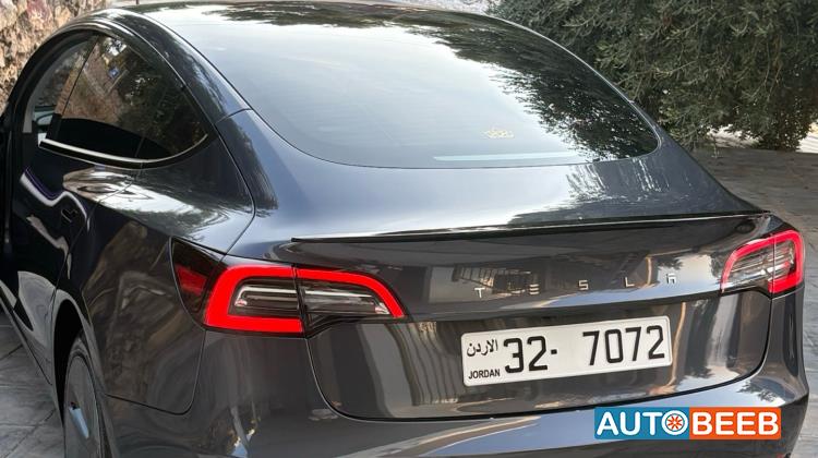 Tesla 3 2023
