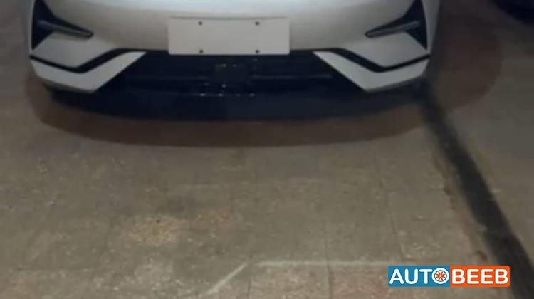 BYD Song L 2025