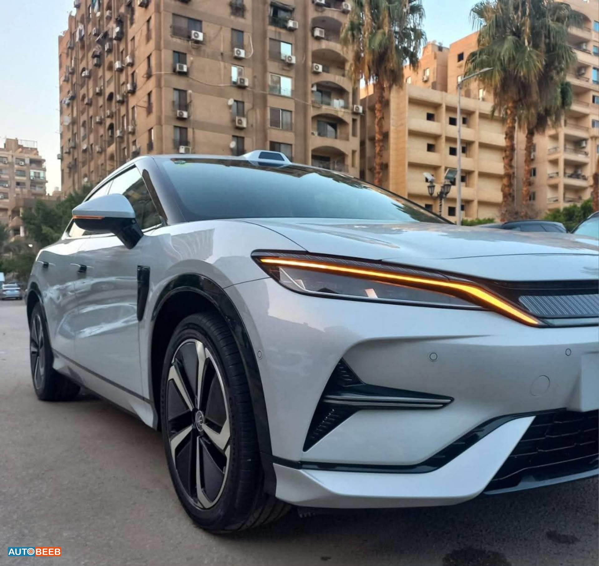 BYD Song L 2025