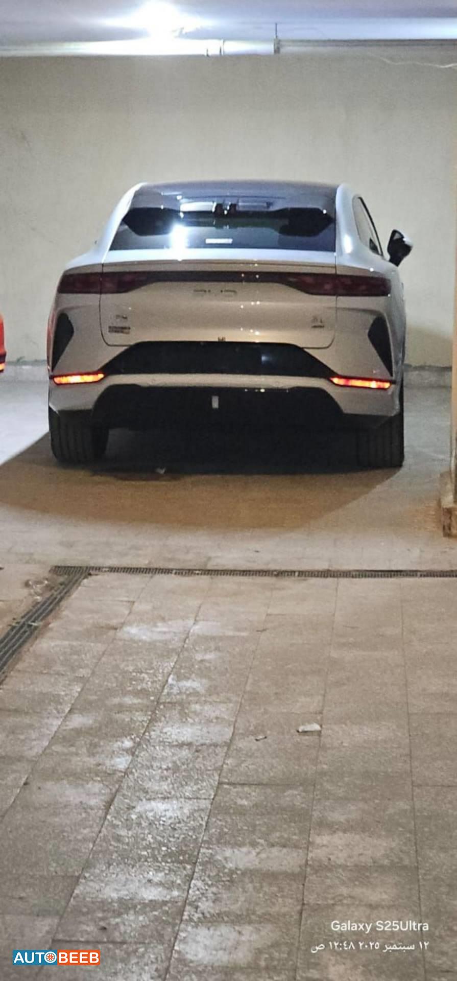 BYD Song L 2025
