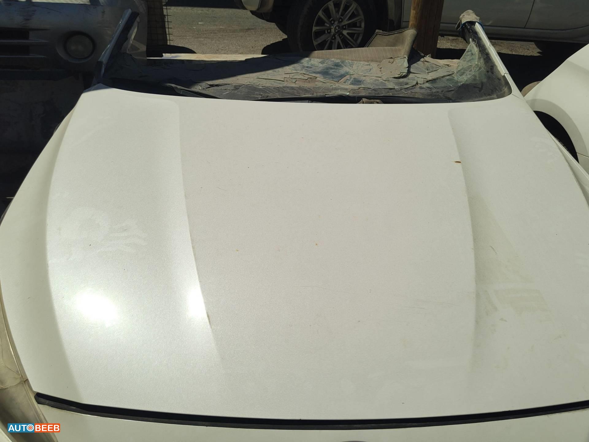 Body  Hood KIA Cadenza
