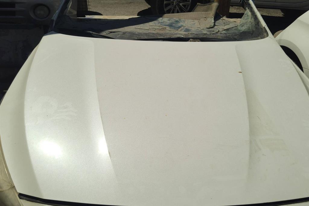 Body  Hood KIA Cadenza