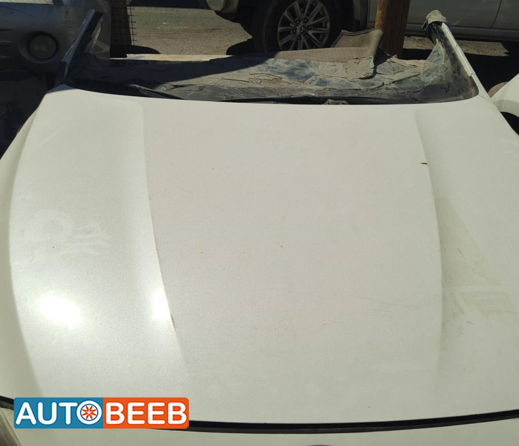 Body  Hood KIA Cadenza