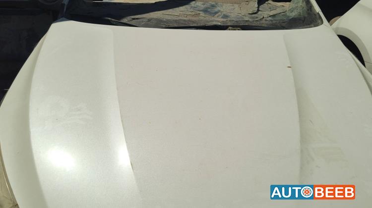 Body  Hood KIA Cadenza