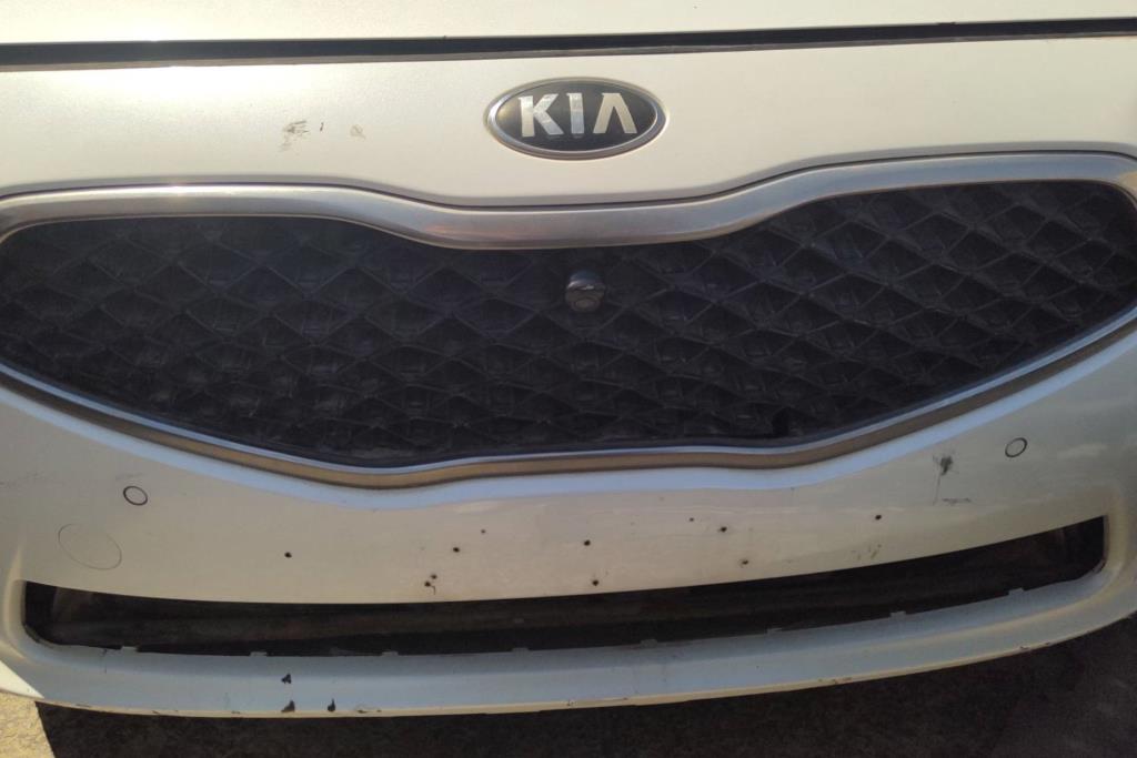 Body  Grilles KIA Cadenza