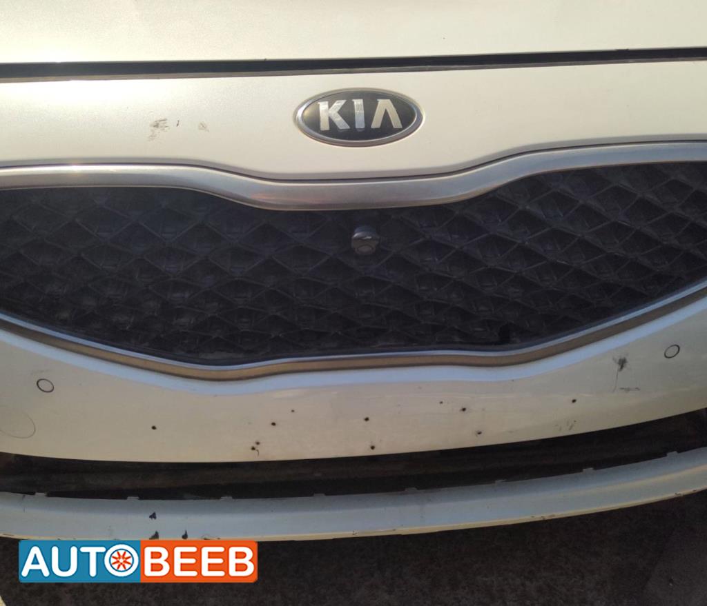 Body  Grilles KIA Cadenza
