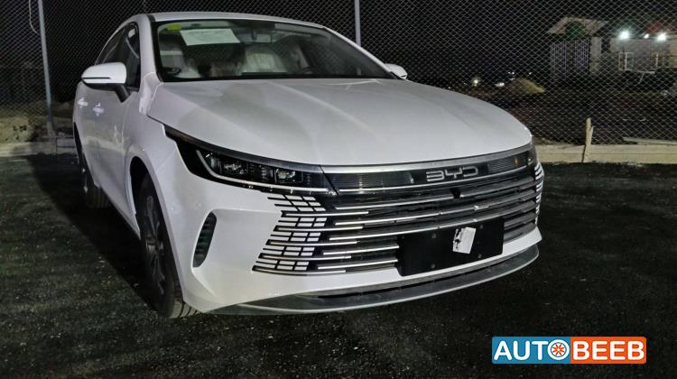 بي واي دي ديستروير 2026