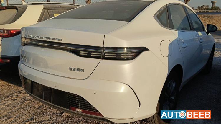 BYD Destroyer 05 2025