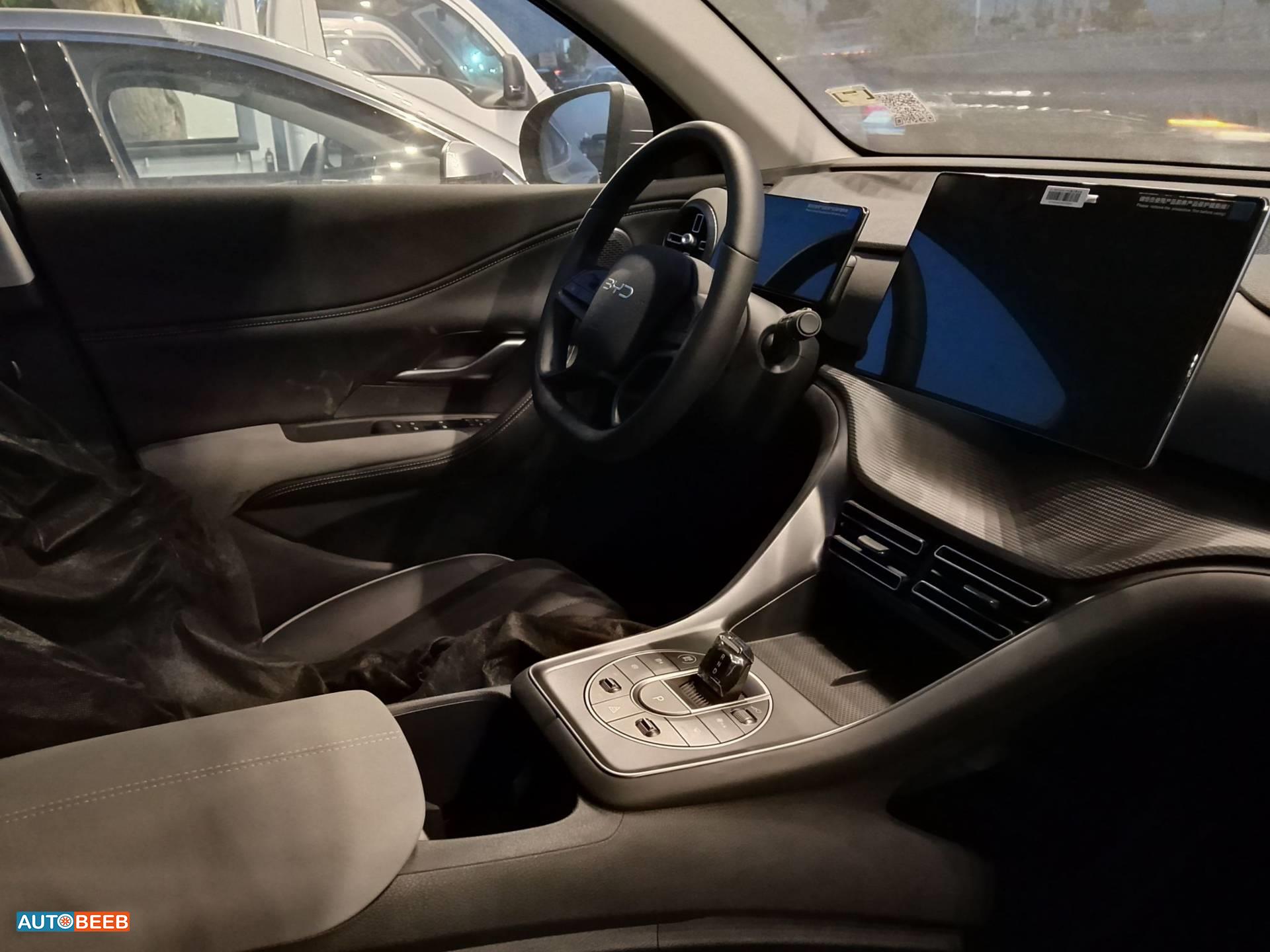 بي واي دي سيليون 2025