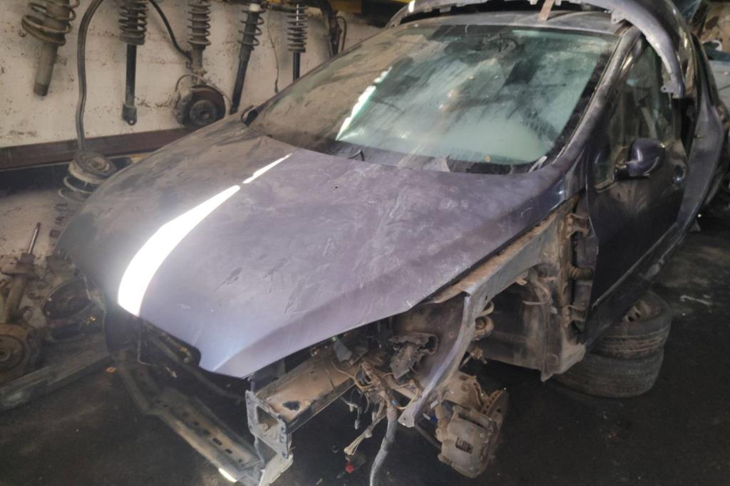بوز كامل بيجو 307 2005 2006 2007