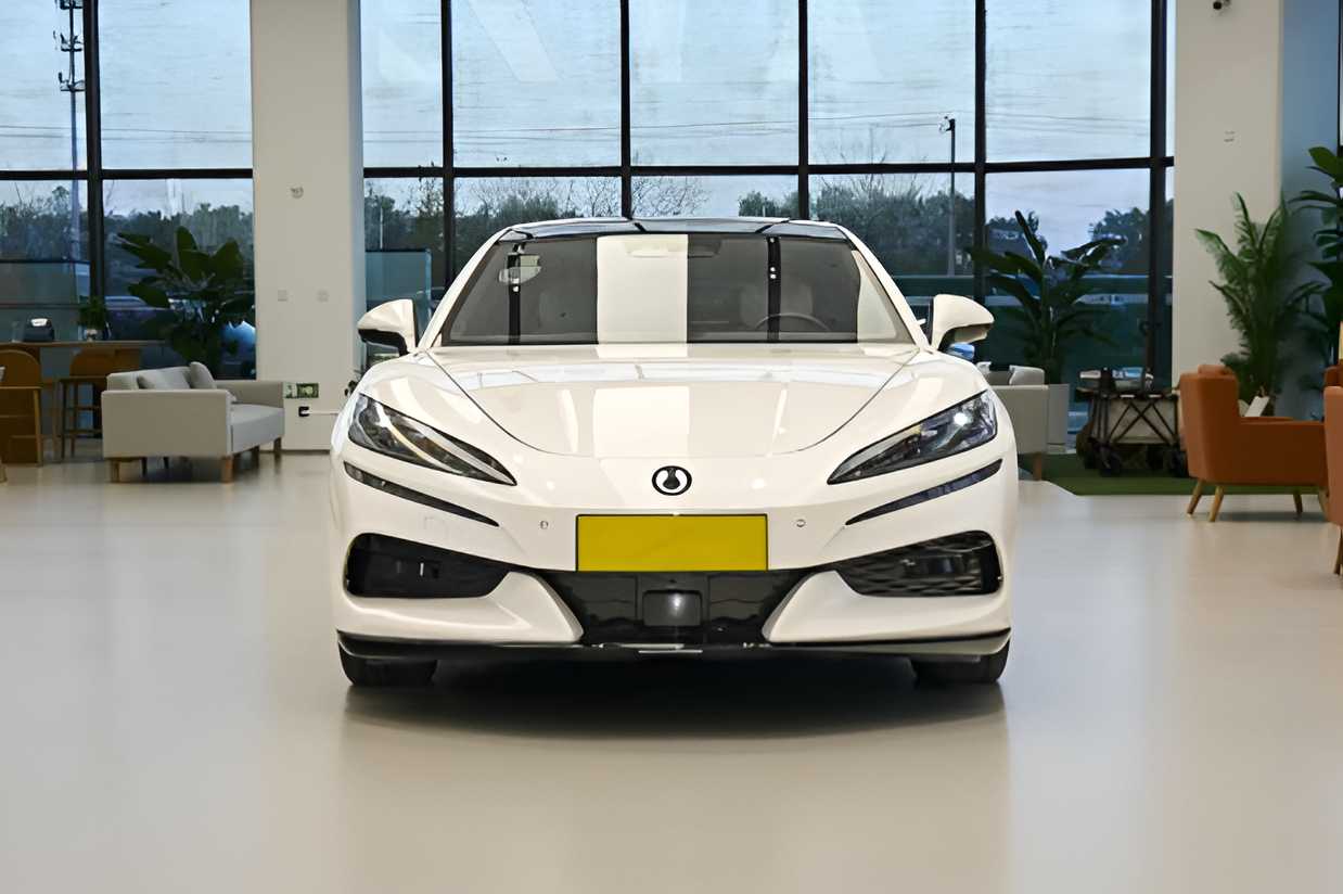 دينزا Z9 2024