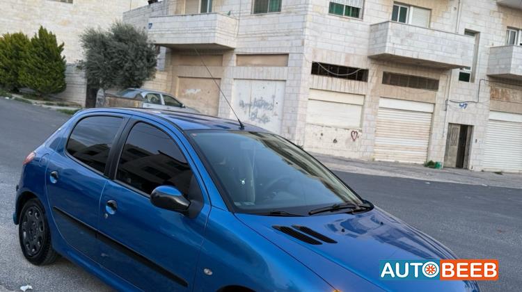Peugeot 206 2007